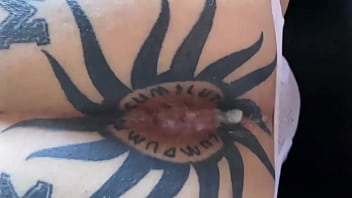 Brit ff & breeding pig gran canaria 14 21 june fuck me friday ass up taking anon risky loadsb