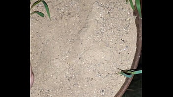 Chastity key burried away