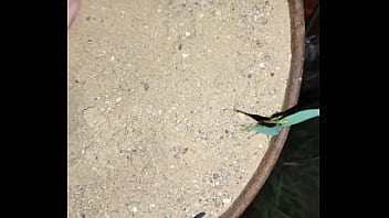 Chastity key burried away