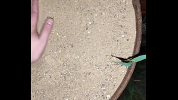 Chastity key burried away