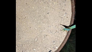 Chastity key burried away