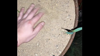 Chastity key burried away