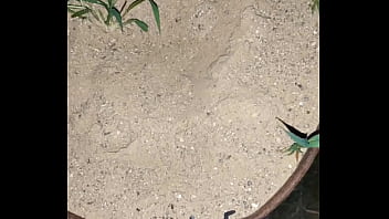 Chastity key burried away