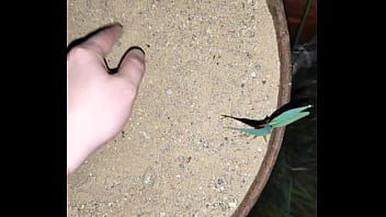 Chastity key burried away