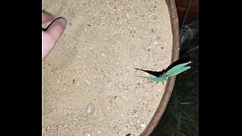 Chastity key burried away