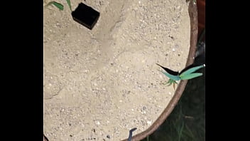 Chastity key burried away