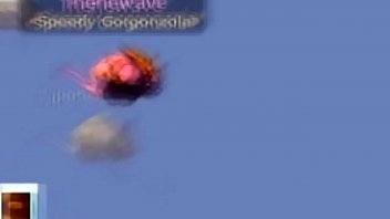 Transformice thenewave 40k «relâmpago»