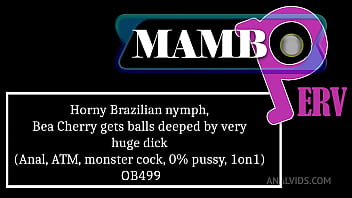 Horny brazilian nymph bea cherry gets balls deeped by very huge dick anal atm monster cock 0% pussy 1on1 ob499big