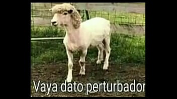 No solo estás aqui por las pajas