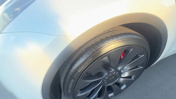 Cheetah adora gets a huge cock doggystyle