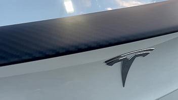 Cheetah adora gets a huge cock doggystyle