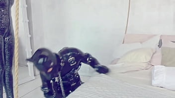 Shiny kind soft mistress and happy submissive petplay latex rubber female domination arya grander