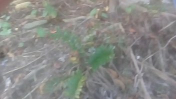 Venham gravar com agente