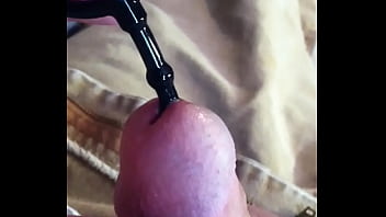 Cock plug