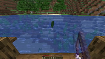 Nonsense things in minecraft