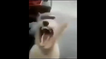 Nonsense things in minecraft