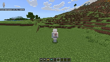 Nonsense things in minecraft