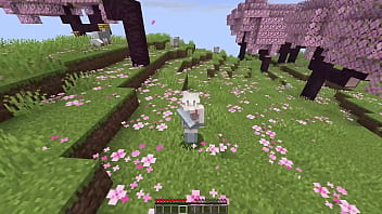 Nonsense things in minecraft