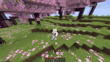 Nonsense things in minecraft