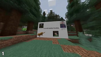 Nonsense things in minecraft