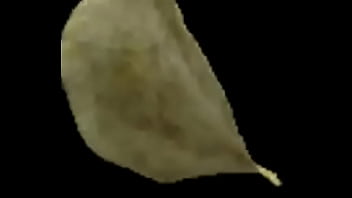 Spinning potato chip