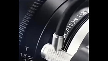 Lys update #4 may 21 2025