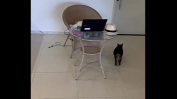 Alinemilf update #338 vid 20250926 115736 4 sep 26 2025