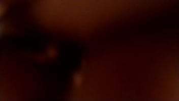 Yaneth en cuatro patitas le gusta recibir