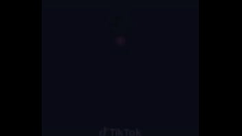 My husky pulling his older brother in the wagon