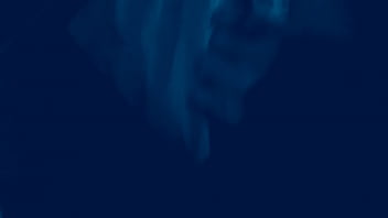 Trim 20160723 111537