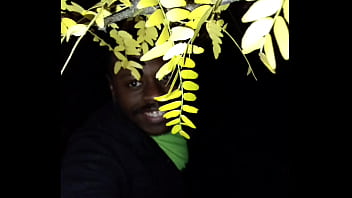 I'm a jolly good fellow while smiling with yellow trees