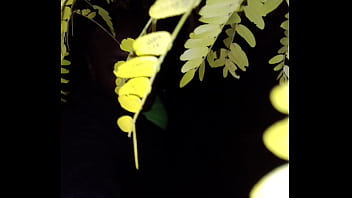 I'm a jolly good fellow while smiling with yellow trees