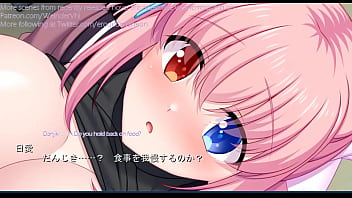 Hentai visual novel
