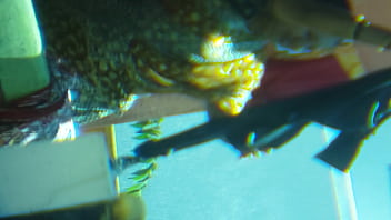 Yashoda show her hottest body