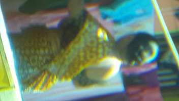 Yashoda show her hottest body