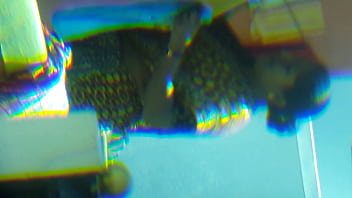 Yashoda show her hottest body