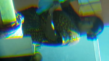 Yashoda show her hottest body