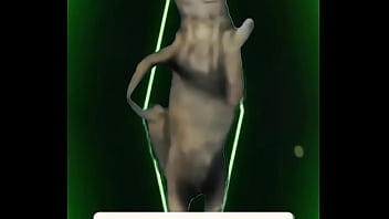 Cold beauty vs fierce energy — different styles same storm inside which side are you ️