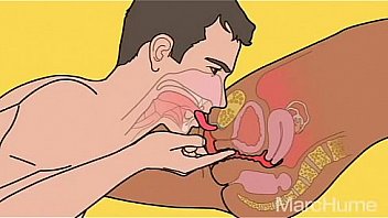 How sex works lol edition