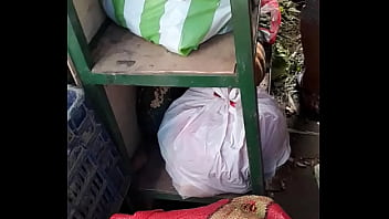 Una mil de jugosas tetas para cachetear