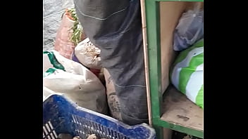 Una mil de jugosas tetas para cachetear