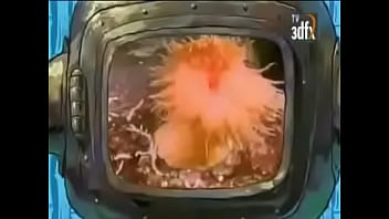 Tremendo porno marino