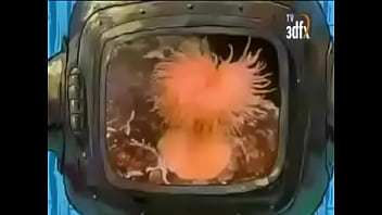 Tremendo porno marino