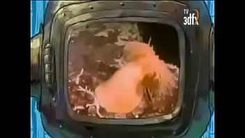 Tremendo porno marino