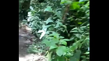 Levei meus amigos pro matinho