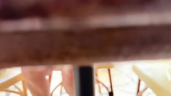 Lunch today in waikiki noisy restaurant lots of road noise from kalakaua avenue interesting things happening below the