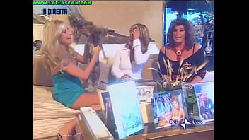 Live television panty oops upskirt as a hottie picks up a dog and leaves her underwear on display