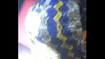 Big Ass Latina thumbnail