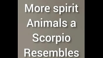 More ways to describe how and why the scorpio zodiac can still be a butterfly although they are a teddy bear a wolf also a boar sometimes as learned from online research for free and for fun More ways to describe how and why the scorpio zodiac can still be a butterfly although they are a teddy bear a wolf also a boar sometimes as learned from online research for free and for fun