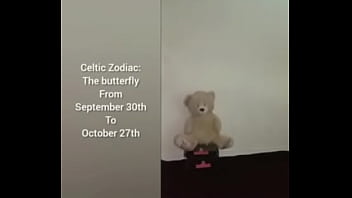 More ways to describe how and why the scorpio zodiac can still be a butterfly although they are a teddy bear a wolf also a boar sometimes as learned from online research for free and for fun